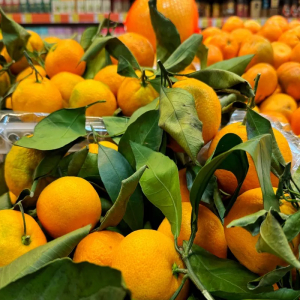 Чтобы не навредить: 2 продукта, с которыми категорически запрещено сочетать мандарины